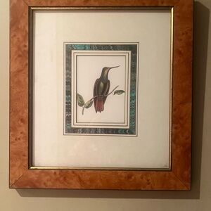 Elegant Framed Hummingbird Art in Brown and Green